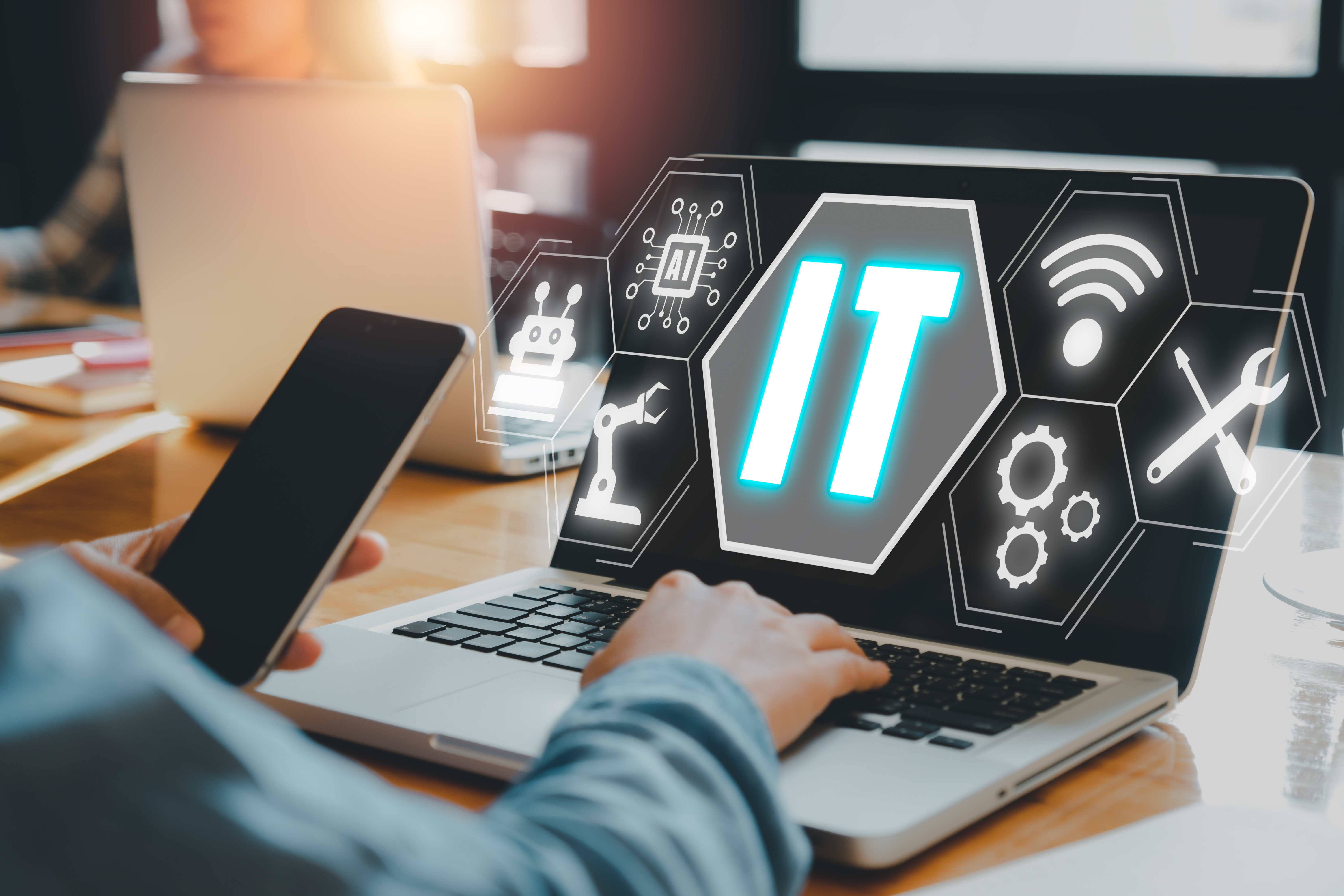 Software IT Consulting